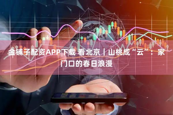 金铺子配资APP下载 看北京｜山桃成“云”：家门口的春日浪漫