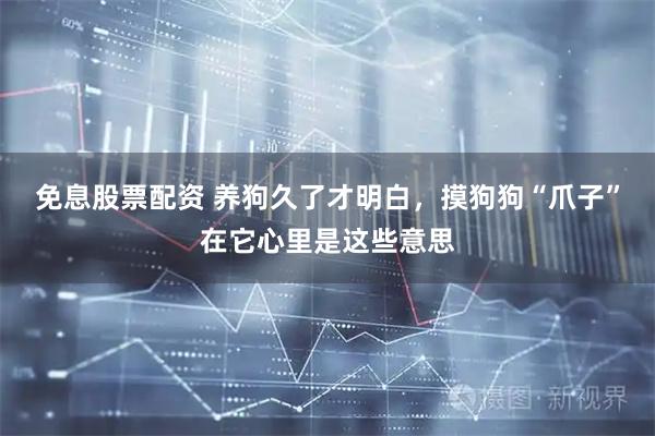 免息股票配资 养狗久了才明白，摸狗狗“爪子”在它心里是这些意思