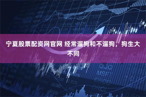 宁夏股票配资网官网 经常遛狗和不遛狗，狗生大不同