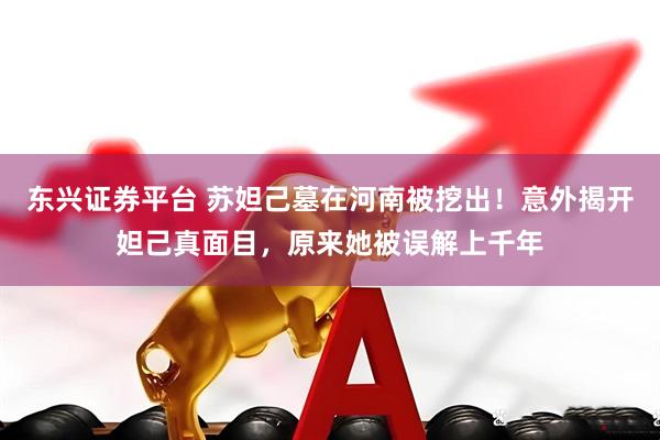 东兴证券平台 苏妲己墓在河南被挖出！意外揭开妲己真面目，原来她被误解上千年