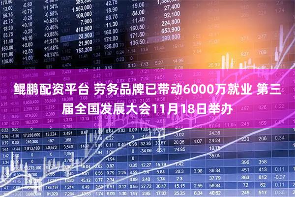 鲲鹏配资平台 劳务品牌已带动6000万就业 第三届全国发展大会11月18日举办