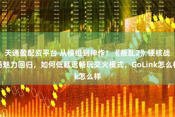 天通盈配资平台 从模组到神作！《叛乱2》硬核战场魅力回归，如何低延迟畅玩交火模式，GoLink怎么样