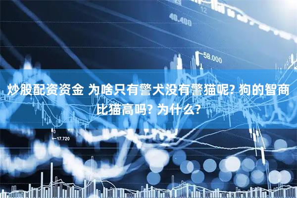 炒股配资资金 为啥只有警犬没有警猫呢? 狗的智商比猫高吗? 为什么?
