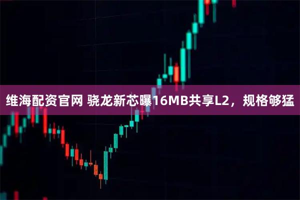 维海配资官网 骁龙新芯曝16MB共享L2，规格够猛