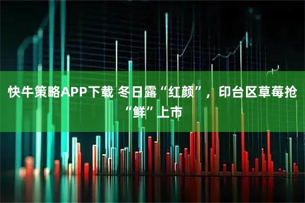 快牛策略APP下载 冬日露“红颜”，印台区草莓抢“鲜”上市
